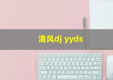 清风dj yyds